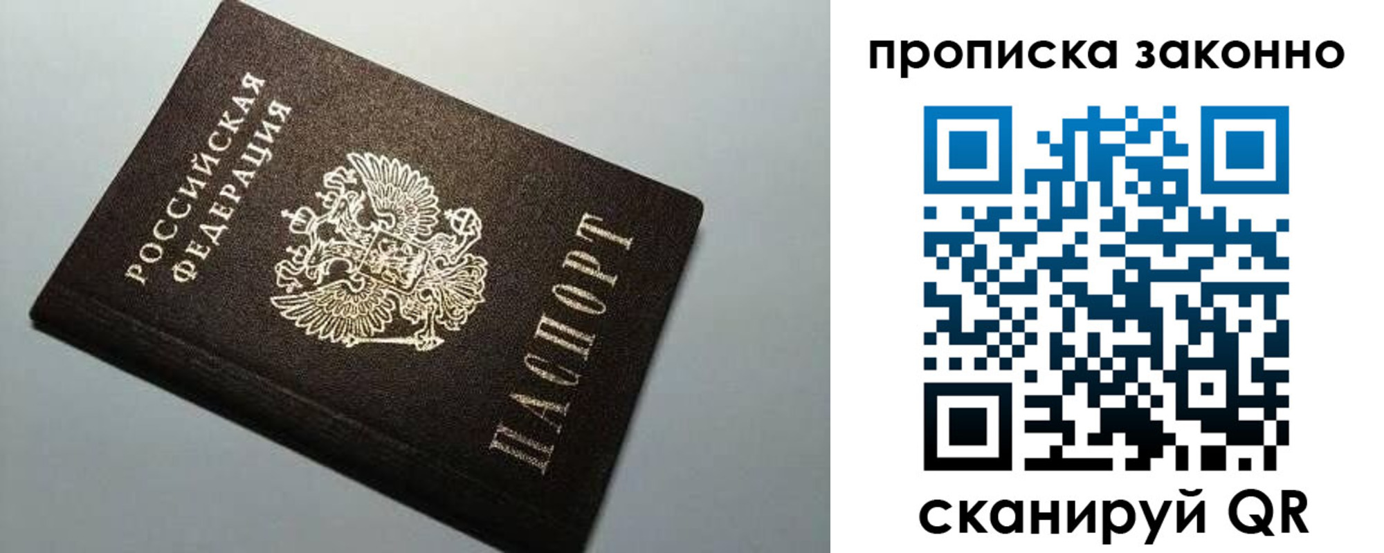 прописка в Светлогорске