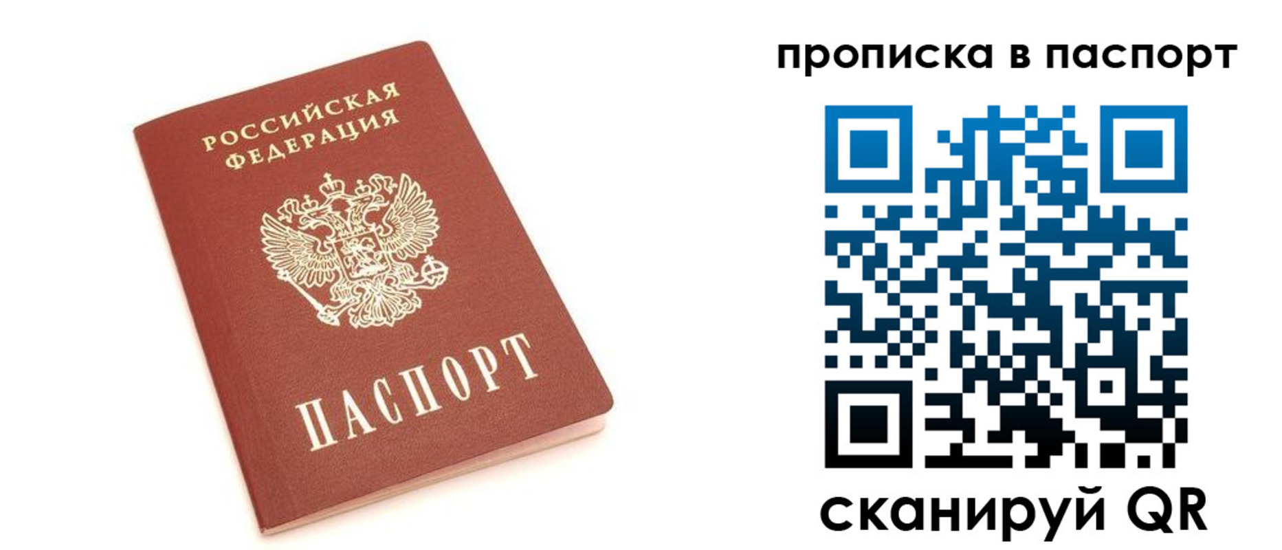 прописка паспорт в Светлогорске